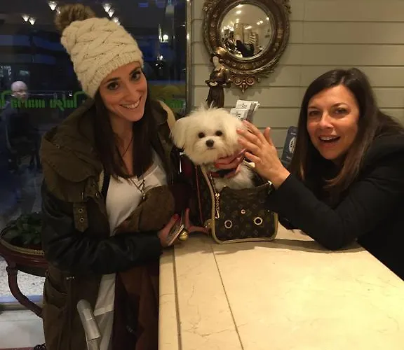 Отель Maria Luisa